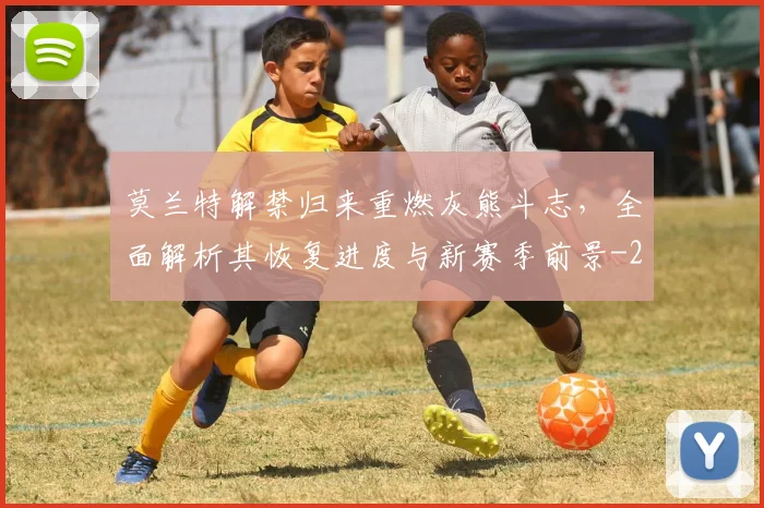 莫兰特解禁归来重燃灰熊斗志，全面解析其恢复进度与新赛季前景