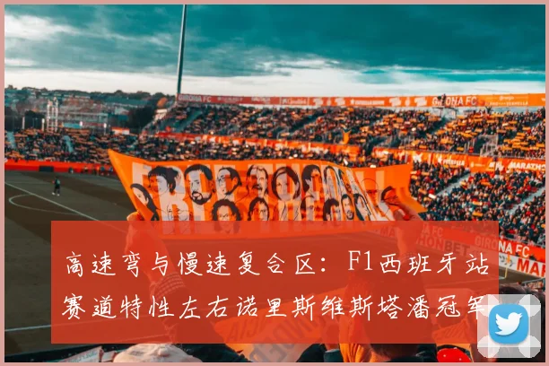 高速弯与慢速复合区：F1西班牙站赛道特性左右诺里斯维斯塔潘冠军之争